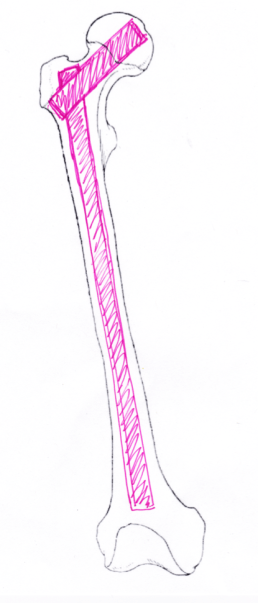 Screen Shot 2017-01-27 at 1.38.08 PM.png