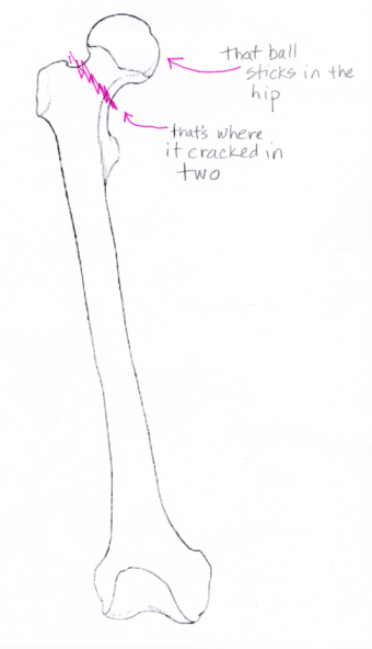 Screen Shot 2017-01-27 at 1.42.19 PM.png