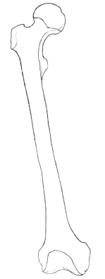 Screen Shot 2017-01-27 at 11.19.06 AM.png